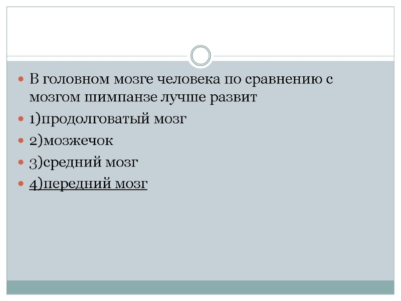 В головном мозге человека по сравнению с мозгом шимпанзе лучше развит 1)продолговатый мозг 2)мозжечок